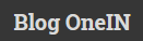 Blog OneIN program